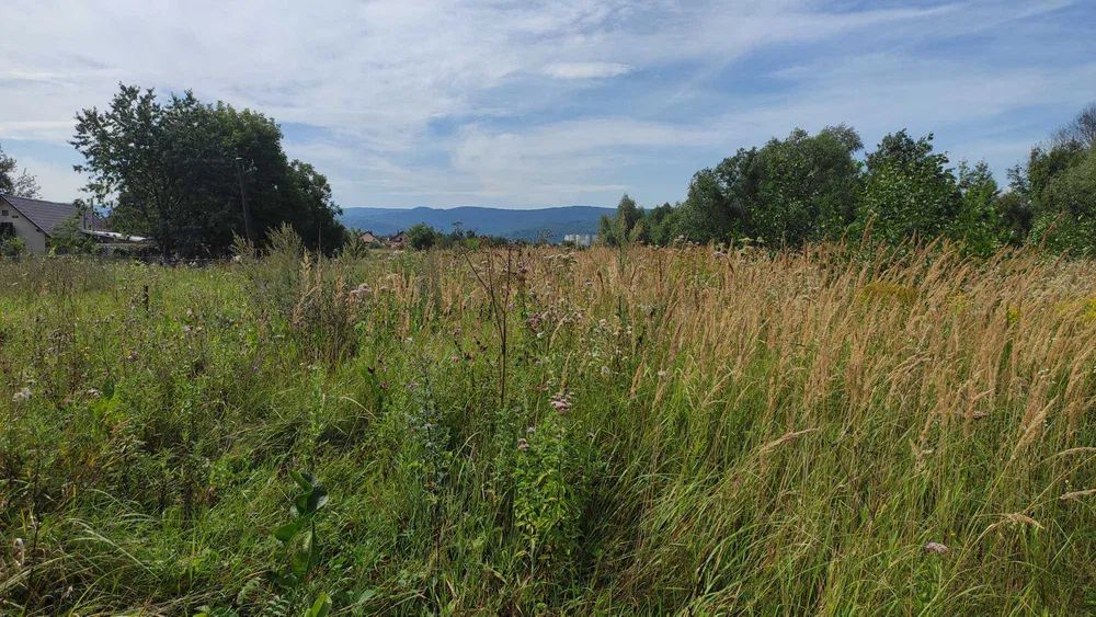 Продаж земельної ділянки. Борислав. Львівська область-4