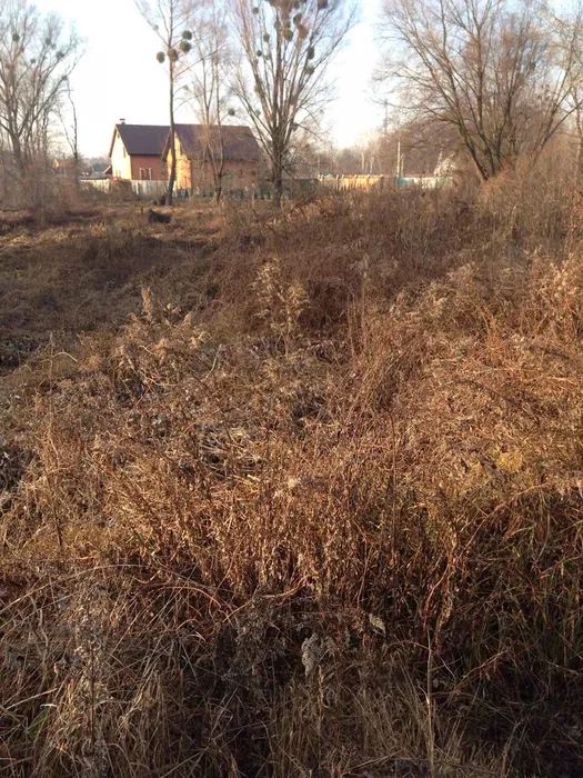 Продаж земельної ділянки. Київ. Львівська область-1