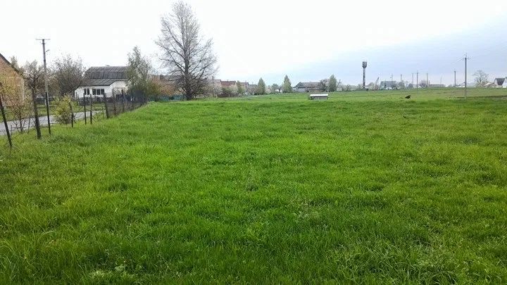 Продаж земельної ділянки. Київ. Львівська область-2