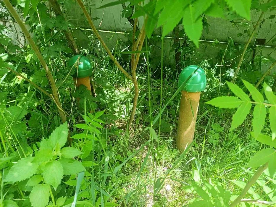 Продаж земельної ділянки. Київ. Львівська область-4