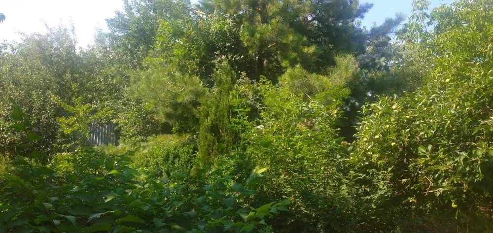 Продаж земельної ділянки. Київ. Львівська область-12