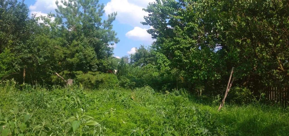 Продаж земельної ділянки. Київ. Львівська область-14