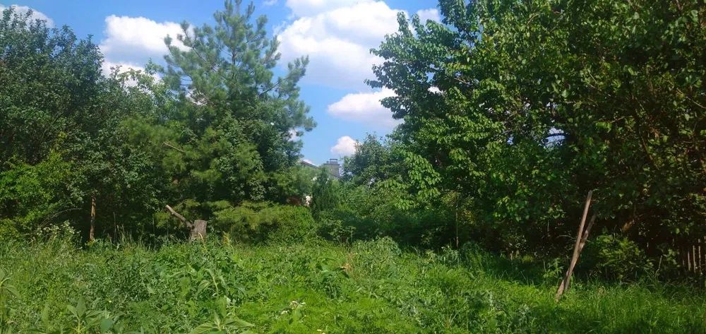 Продаж земельної ділянки. Київ. Львівська область-16