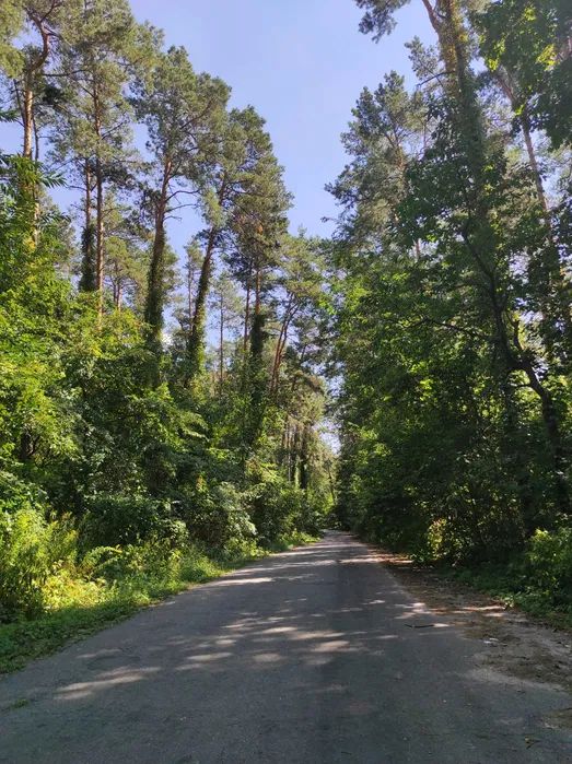 Продаж земельної ділянки. Київ. Київська область-4