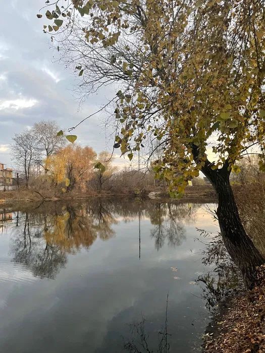 Продаж земельної ділянки. Київ. Київська область-1