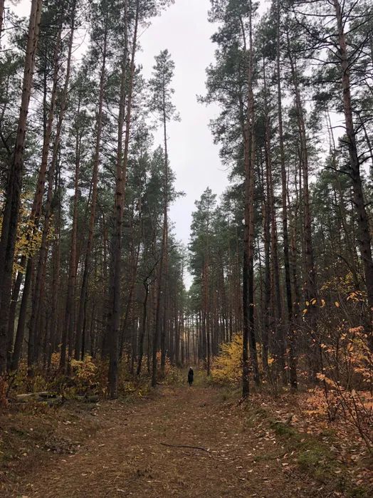 Продаж земельної ділянки. Київ. Київська область-2