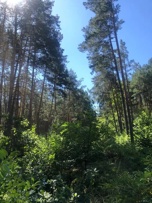 Продаж земельної ділянки. Київ. Київська область-7